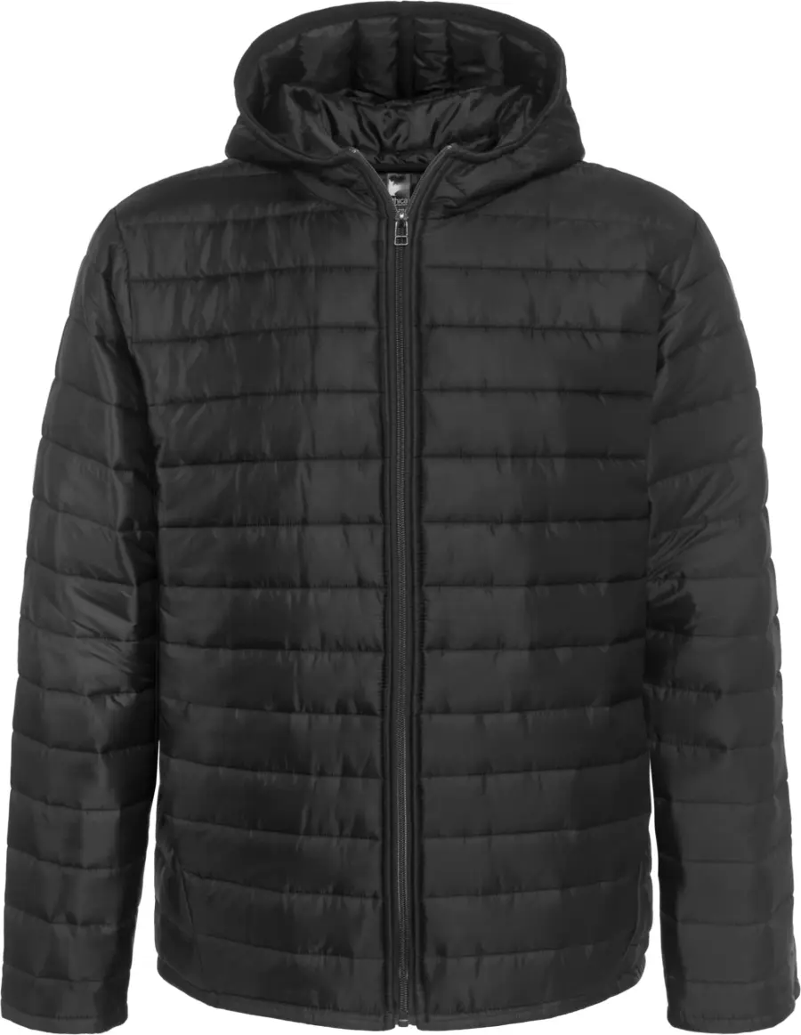 Ethica Hooded quilted jacket in Black